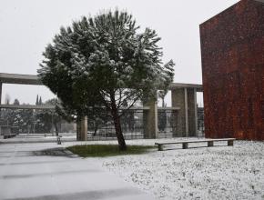 Les archives sous la neige