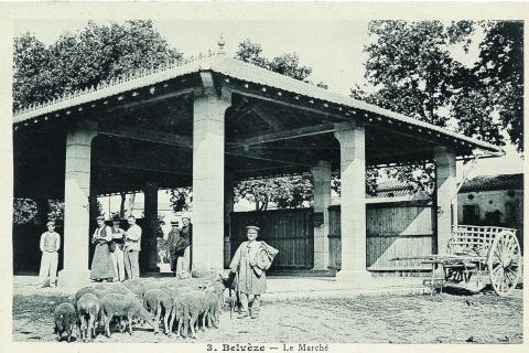 Les halles de Belvèze-du-Razès