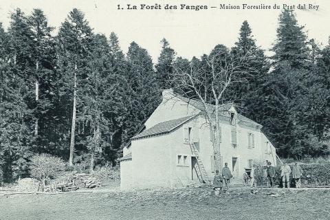 maison forestière